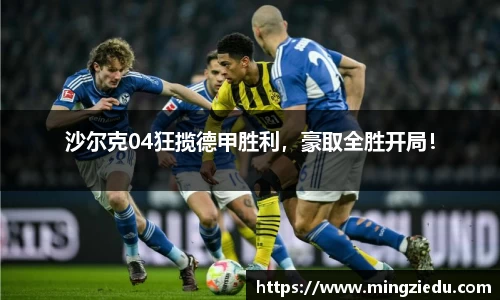 BB视讯官方网站