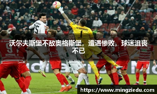 BB视讯官方app