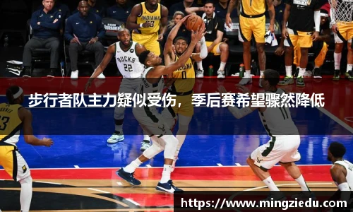 步行者队主力疑似受伤，季后赛希望骤然降低