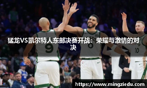 BB视讯