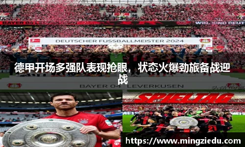 BB视讯官网