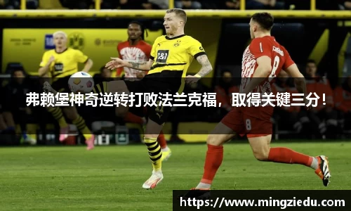 弗赖堡神奇逆转打败法兰克福，取得关键三分！