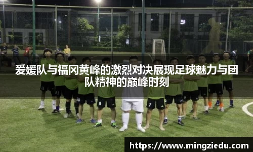 BB视讯官方app