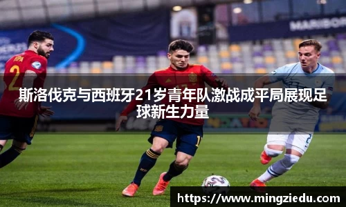 BB视讯官方网站