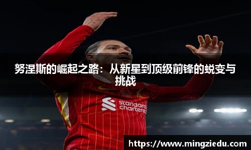 BB视讯官网