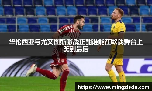 BB视讯