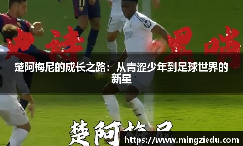 BB视讯