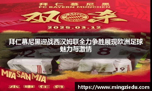 拜仁慕尼黑迎战西汉姆联全力争胜展现欧洲足球魅力与激情