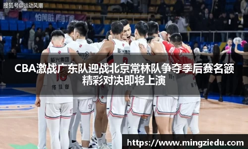 BB视讯官方网站