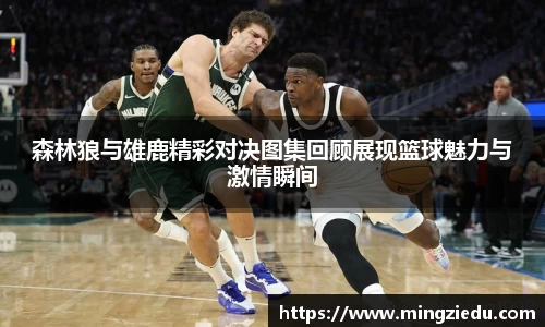 BB视讯官网
