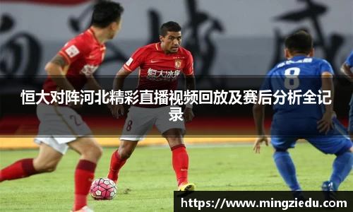 BB视讯官网