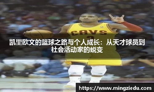 BB视讯官方app