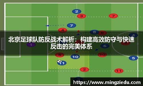 BB视讯官网