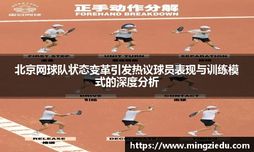 BB视讯官方网站